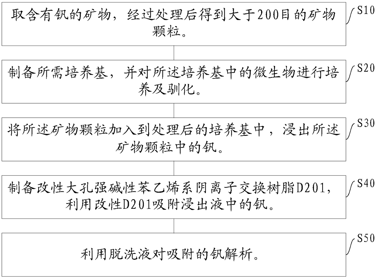 Method for microbial vanadium leaching and selective vanadium enrichment