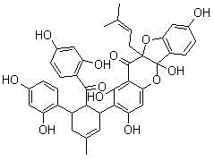 Medicine composition for preventing pancreatic cancer and preparation method thereof