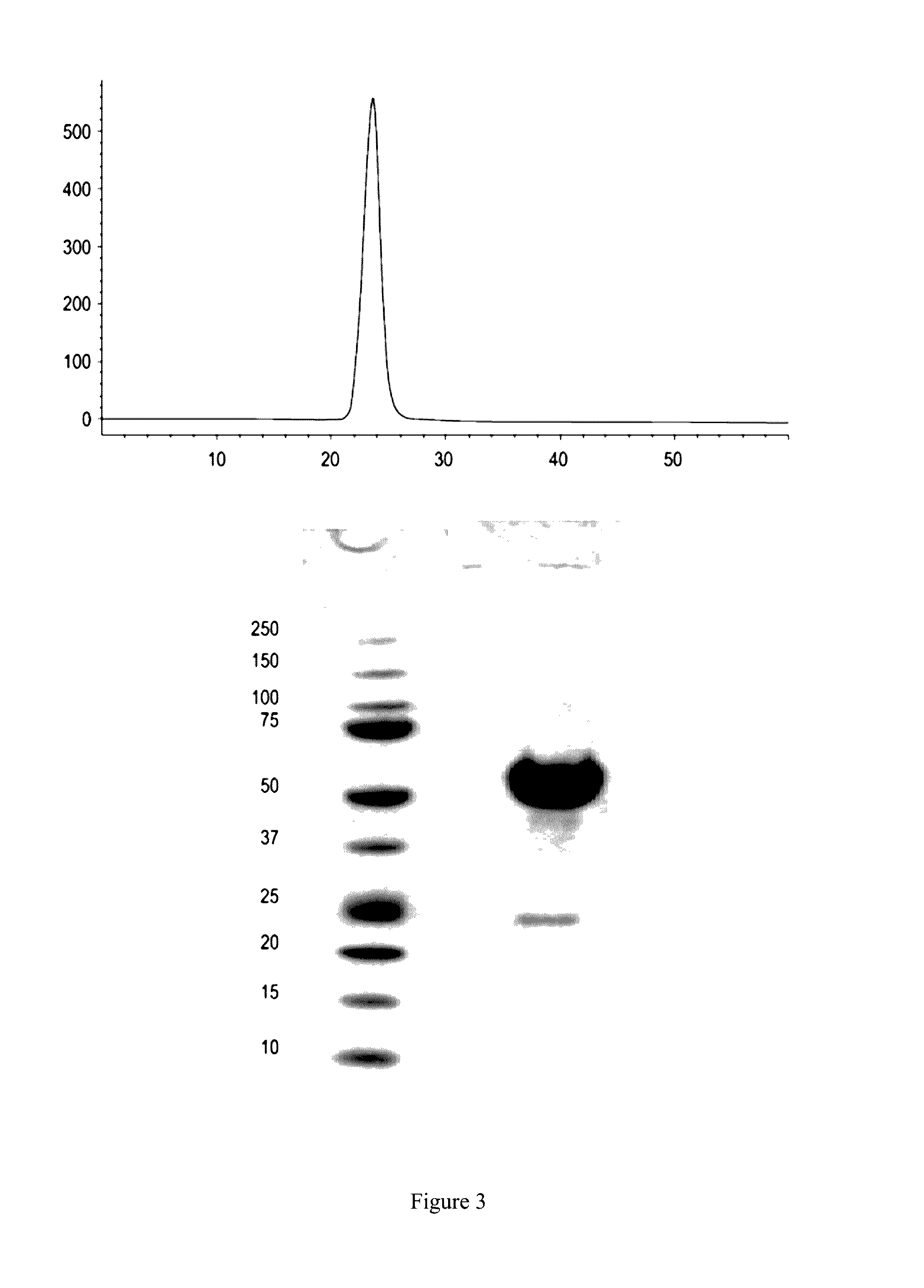 Methods for treating myelodysplastic syndromes and sideroblastic anemias