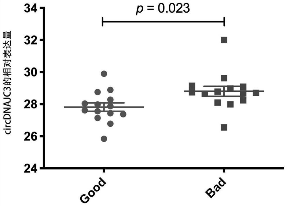 A circular RNA molecule for detecting radiosensitivity of rectal cancer and its application