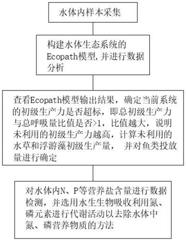 Eutrophicated water body restoration design based on ecological system model and biological manipulation technology