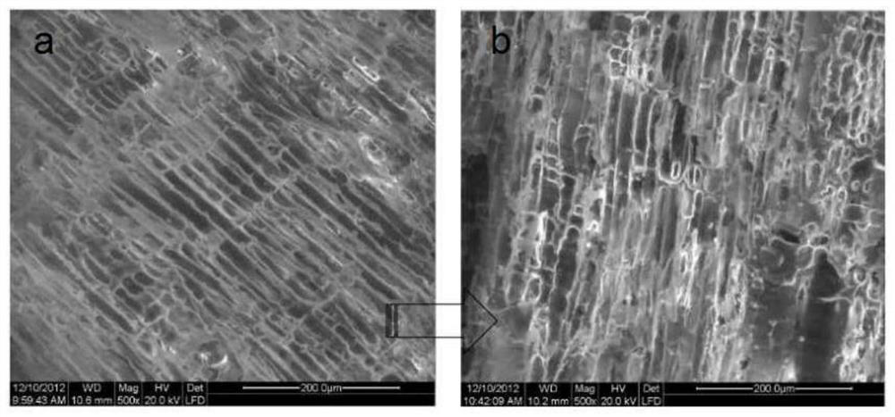 In-situ ultrasonic flame-retardant protection method for wood structure ancient building in northwest region