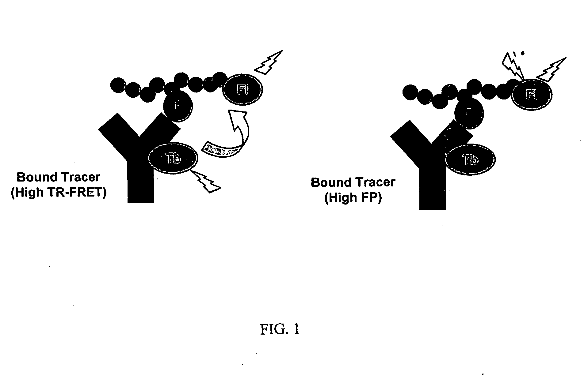 Multiplex binding and activity assays