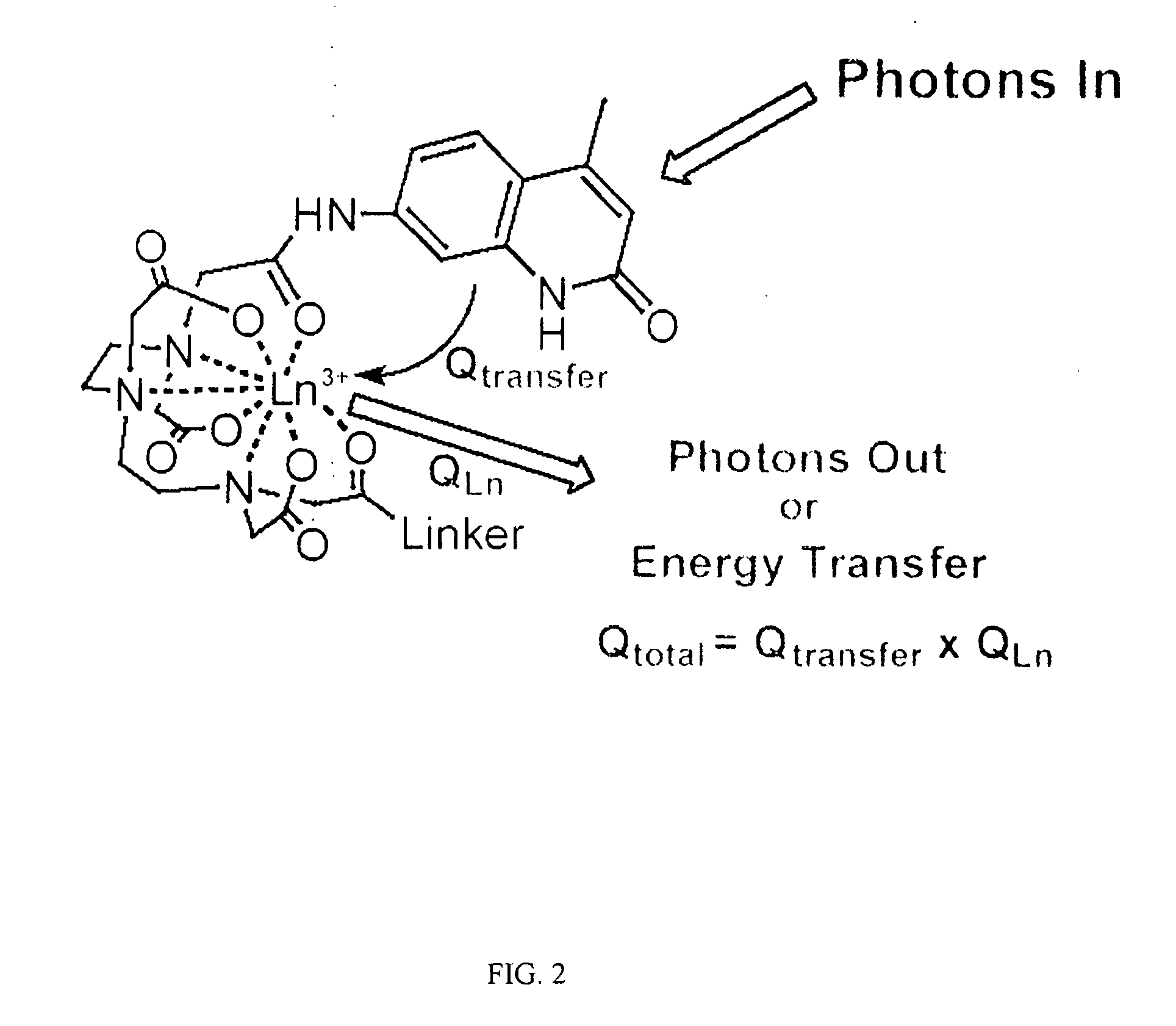 Multiplex binding and activity assays