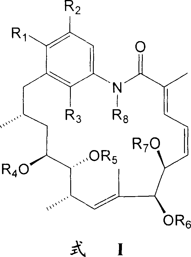 Fragrant geldanamycin derivative and its preparing method and use