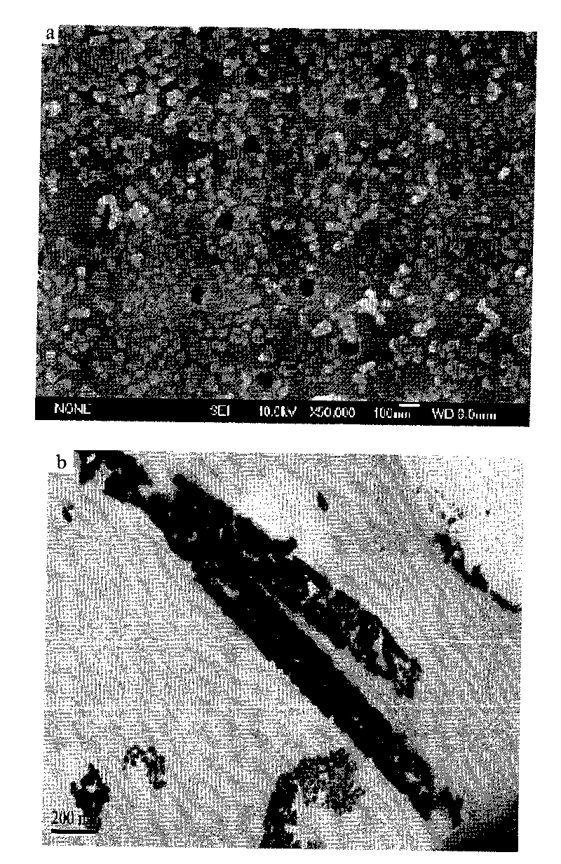 Gold nano-channel membrane for detecting atrazine and application thereof