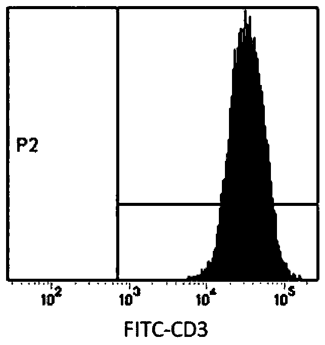Method for expanding and culturing peripheral blood T cells in vitro