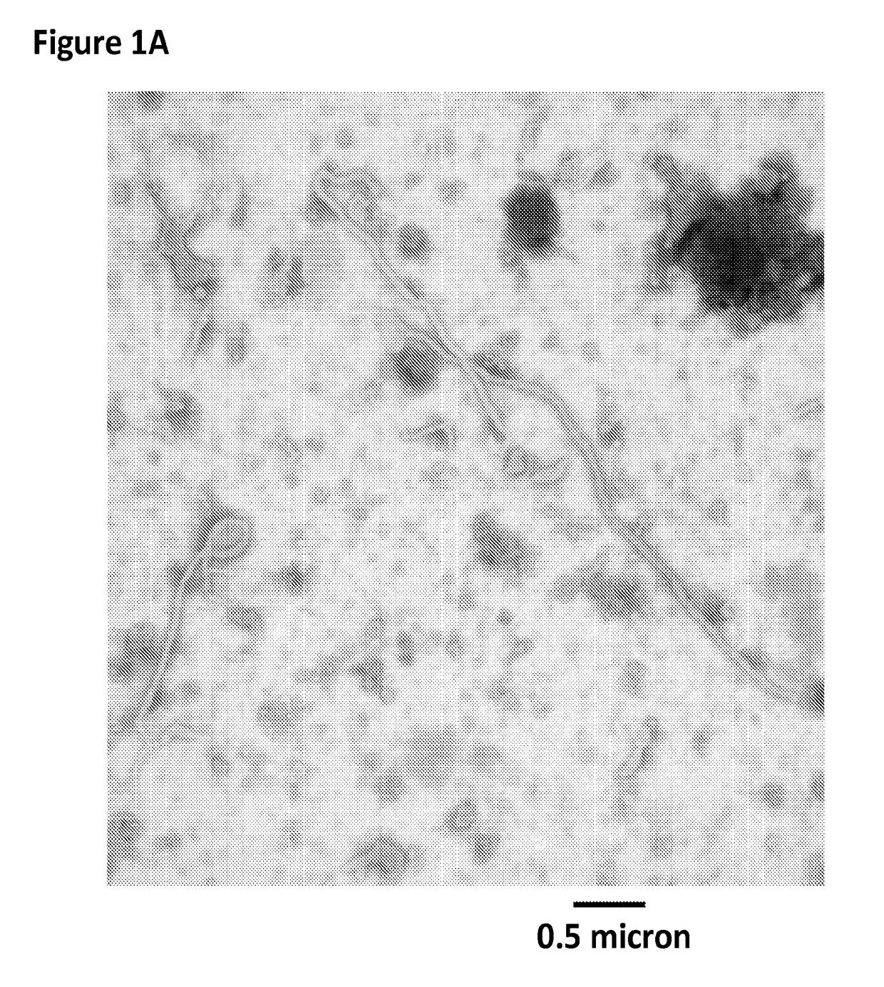 Thermostable, chromatographically purified nano-vlp vaccine