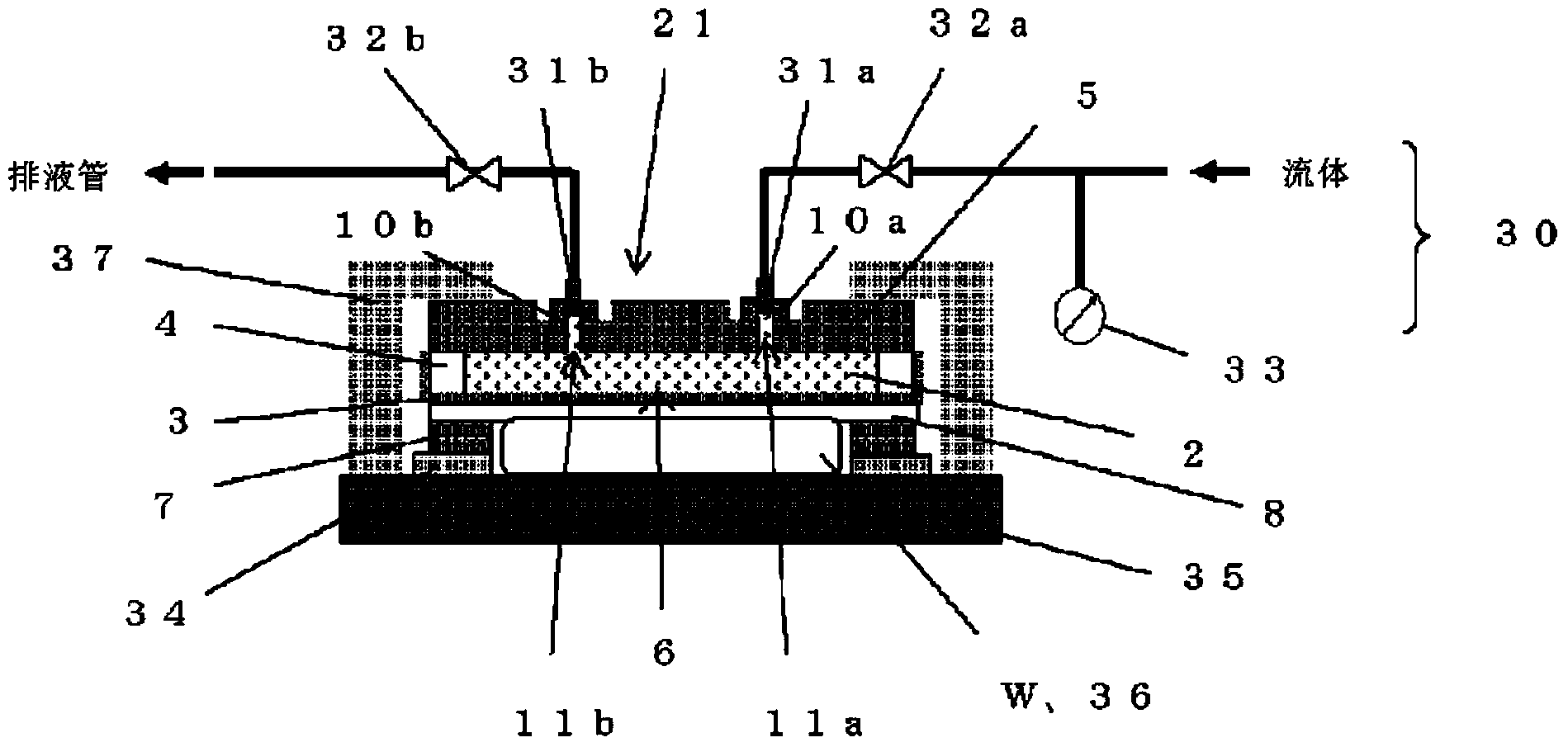 Polishing head and polishing apparatus