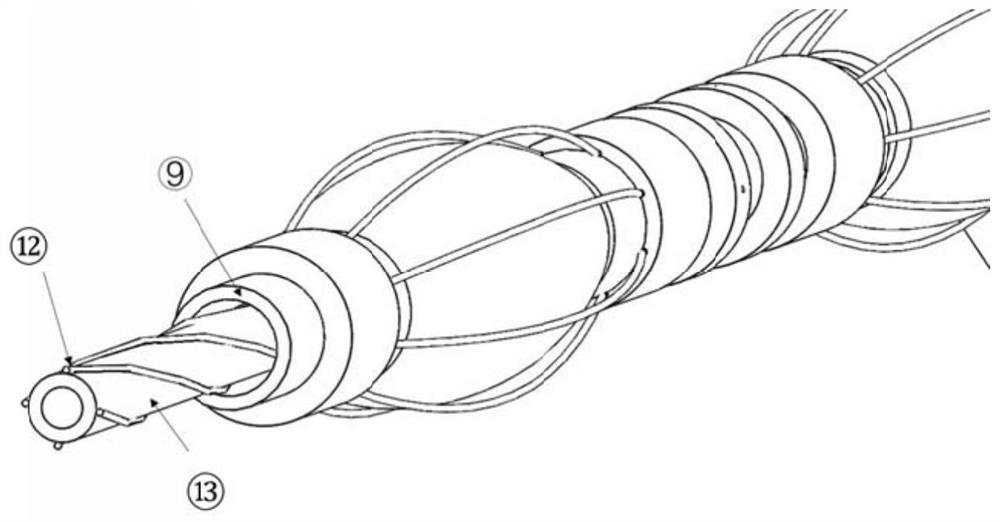 A balloon electrode catheter for cavity tissue ablation