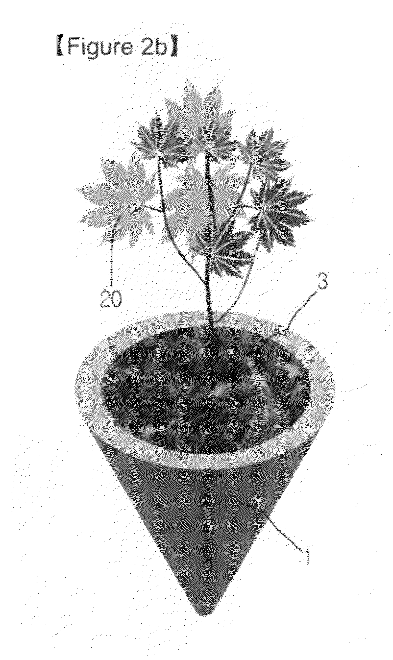 Method for the afforestation of the recalcitrant land