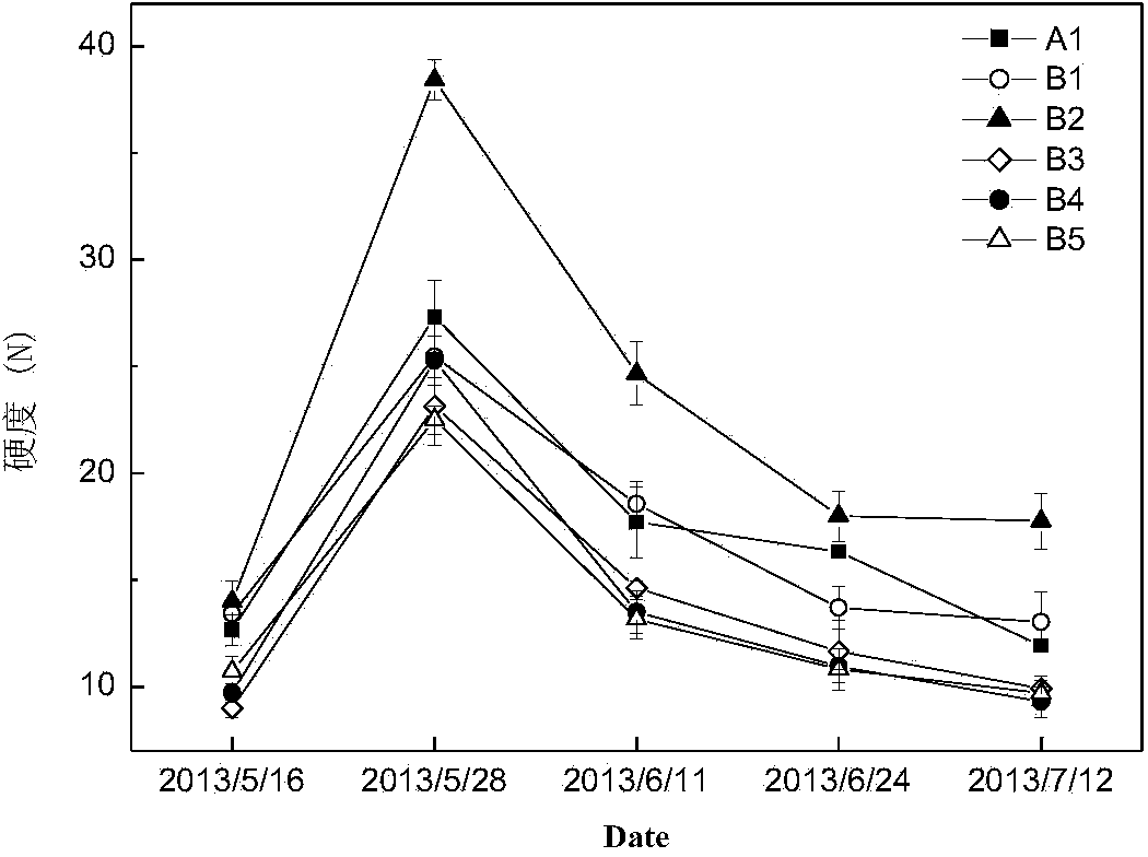 Method for inducing early maturity of pears in seedless mode