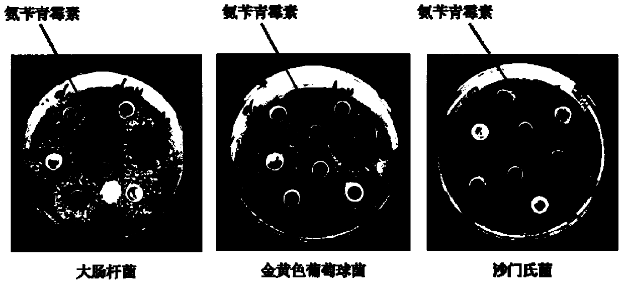 Piglet feed including bacteriostatic yeast culture, and preparation method and applications thereof