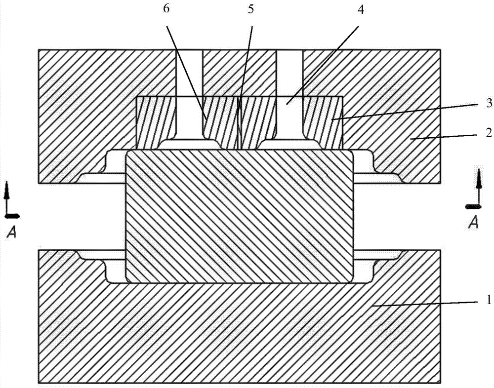 Die forging piece forming device and method based on differential temperature control