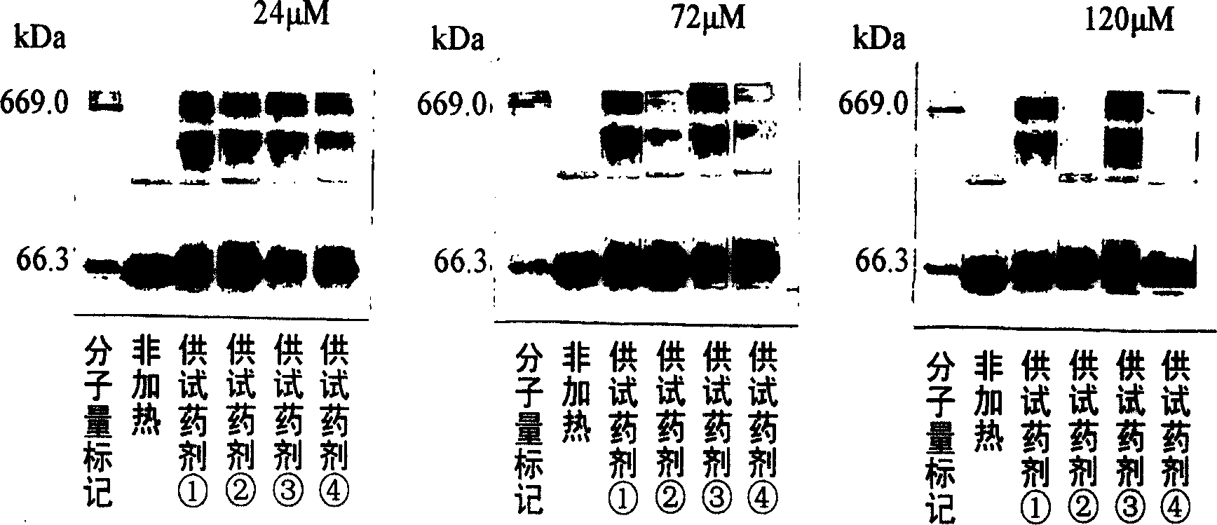 Stabilized albumin preparaions