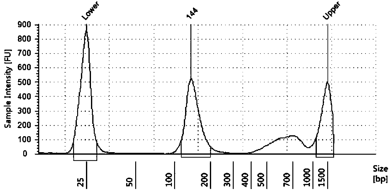 DdPCR detection method for lung cancers EGFR L858R and 19Del and application of ddPCR detection method