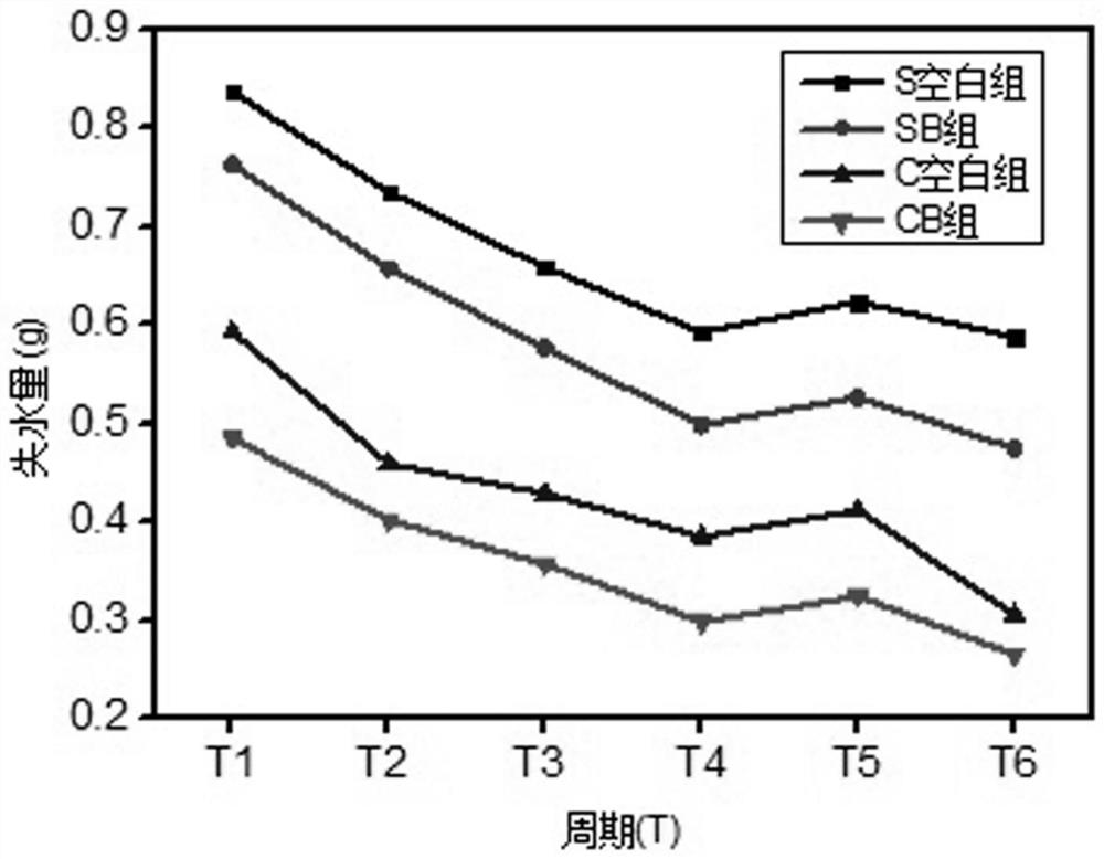 Salt damage prevention method for earthen archaeological site cultural relic protection