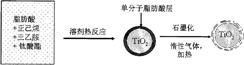 TiO2 @ graphitized carbon nuclear shell compound photocatalyst with high visible light catalytic activity and preparation method thereof