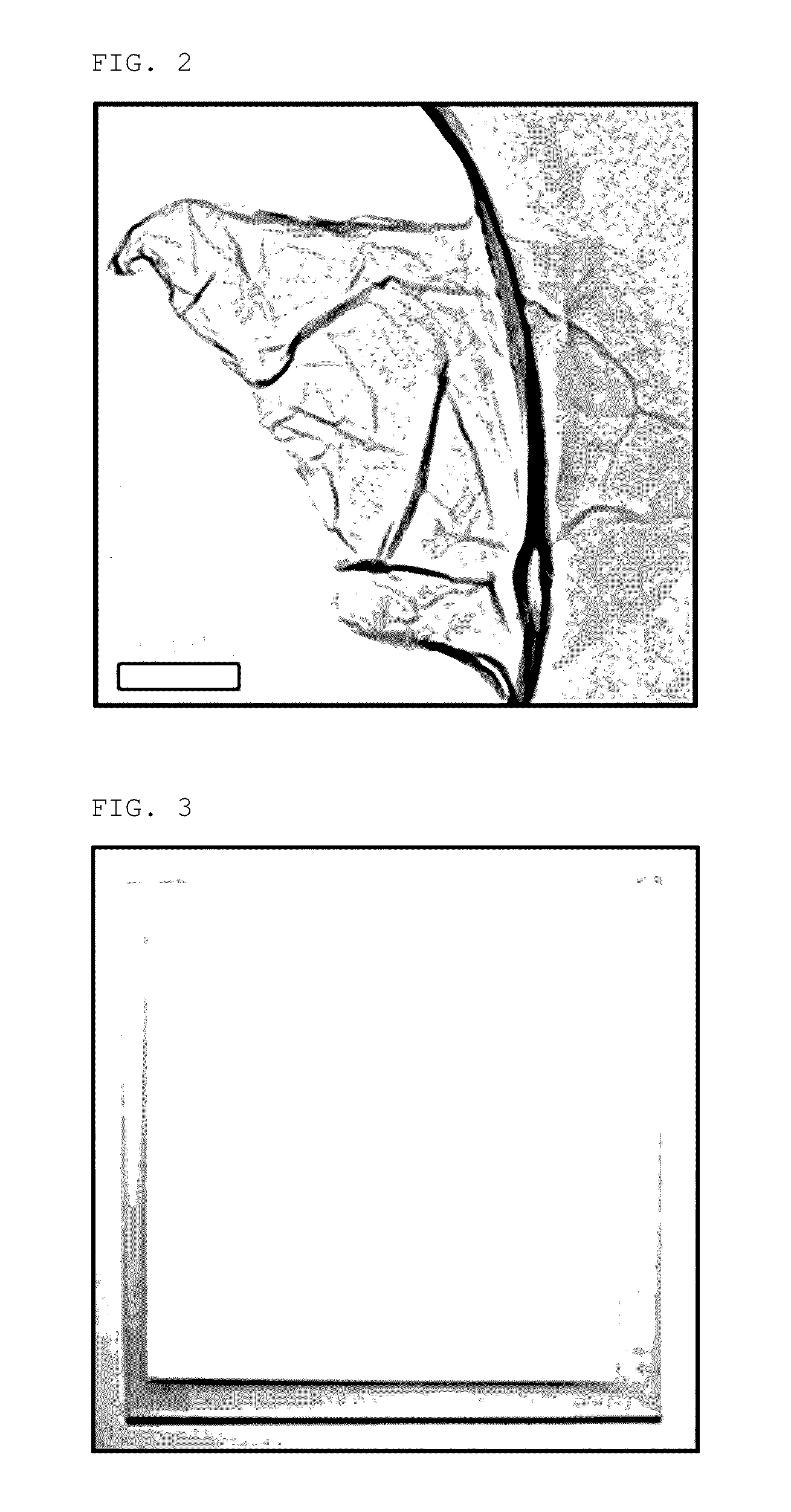 Graphene oxide nanocomposite membrane having improved gas barrier characteristics and method for manufacturing the same