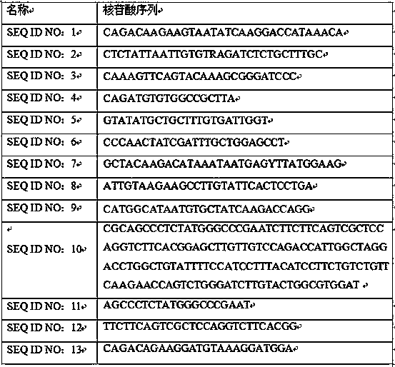 Detection kit for HPIV (human parainfluenza virus) triple nucleic acid