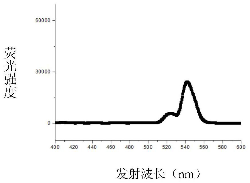 A kind of flexible up-conversion green light sensor for living body and its preparation method