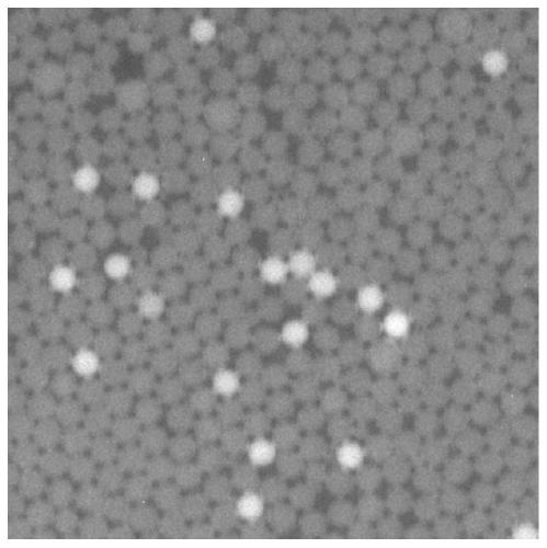 PCR enhancer composition, droplet-type reverse transcription digital PCR solution and application