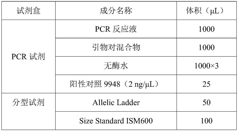 Fluorescence detection kit based on Y-STR gene locus and Y-Indel as well as use method and application of fluorescence detection kit