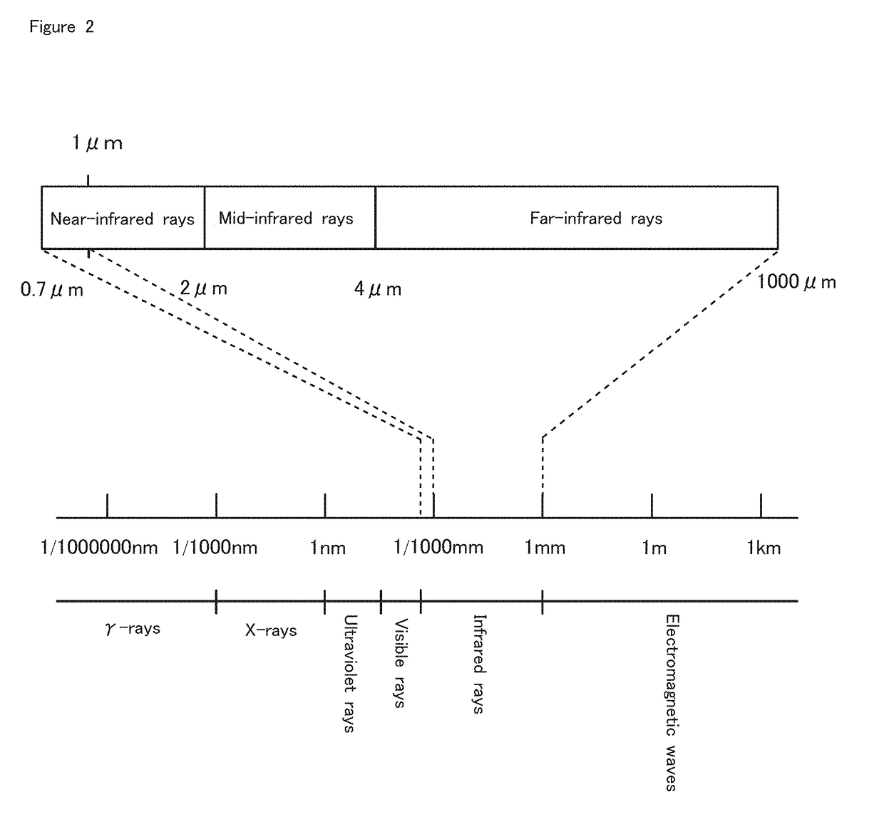 Dark-environment simultaneous culturing-observing apparatus