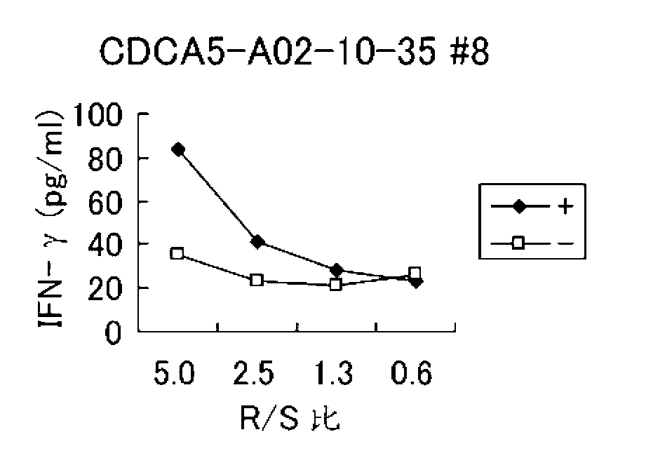 Cdca5 peptides and vaccines including the same