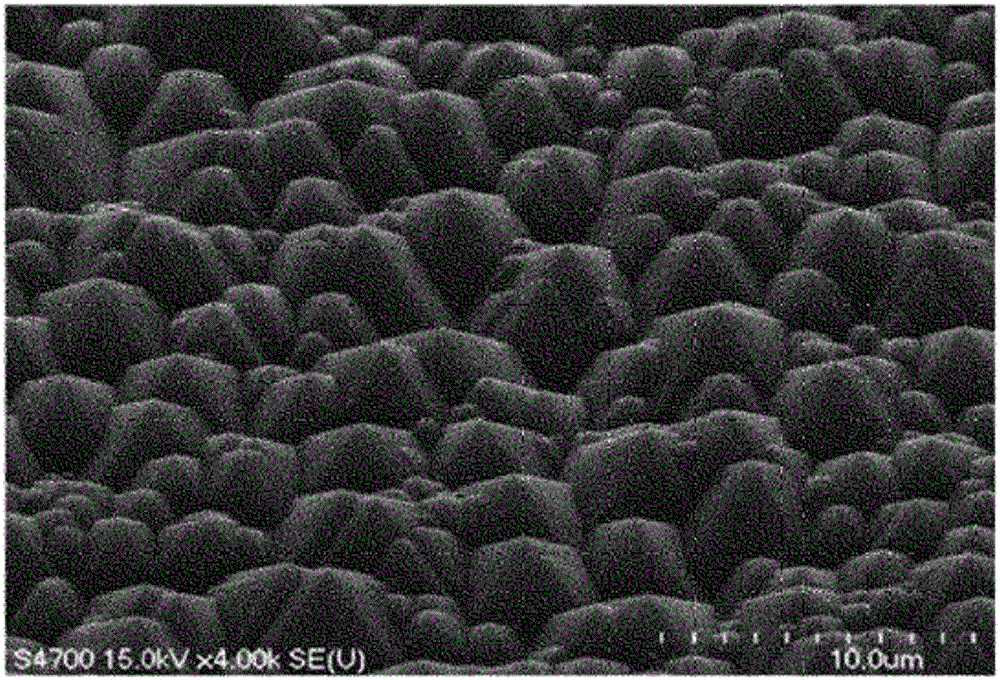 Texture etchant composition for crystalline silicon wafer and texture etching method