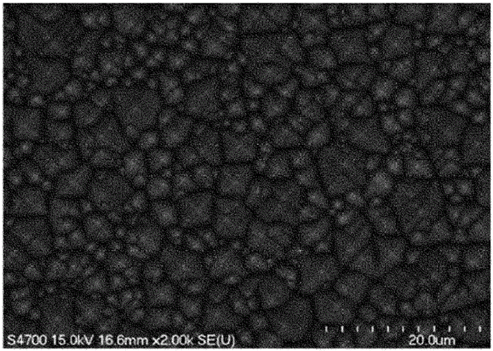 Texture etchant composition for crystalline silicon wafer and texture etching method