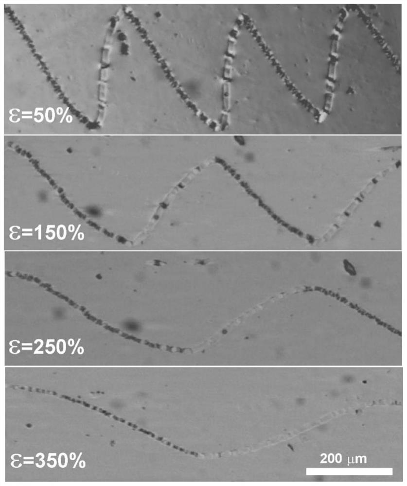 A kind of high-stretch piezoelectric microfiber with double-stage wave structure and its preparation method