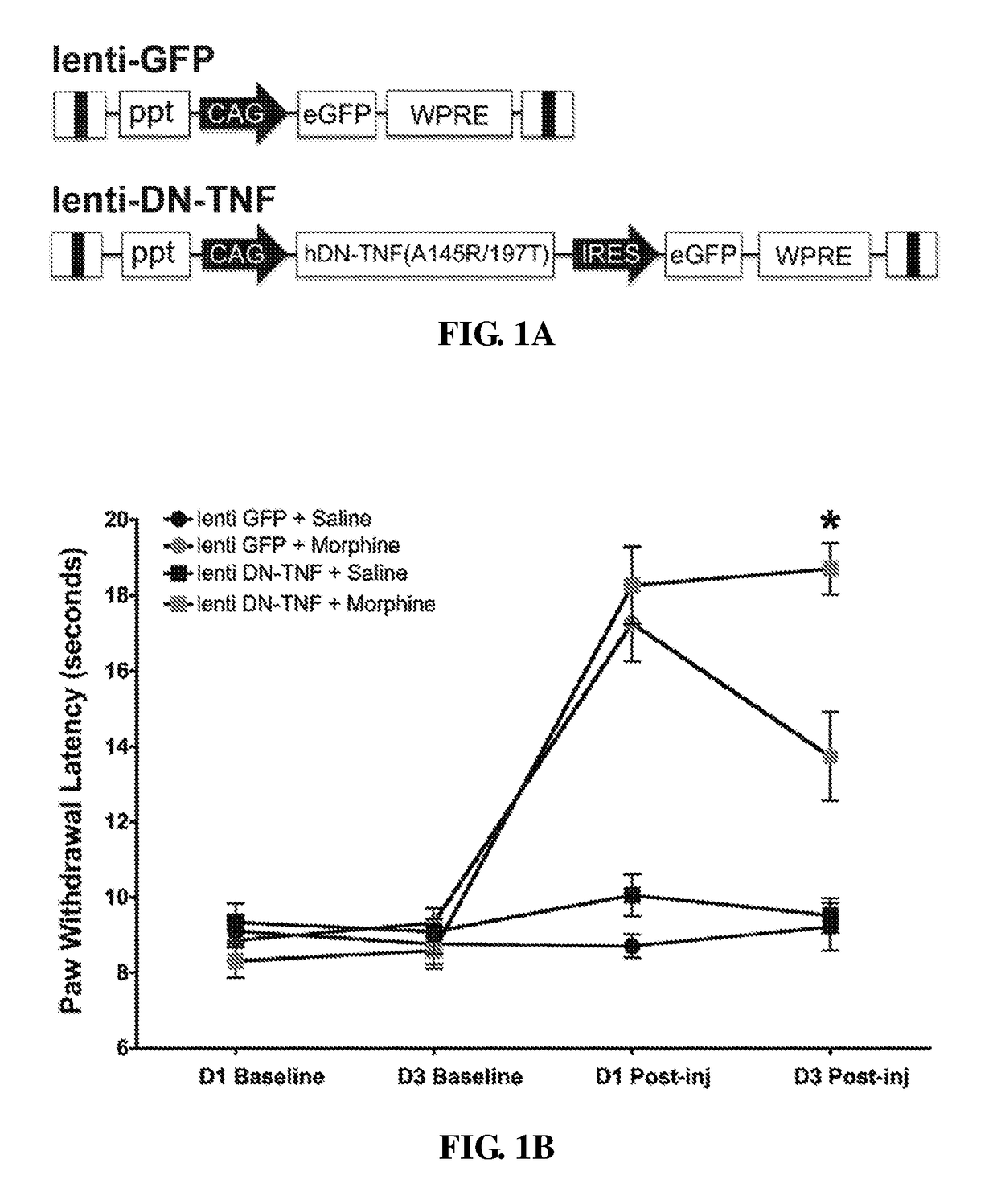 Compositions and methods for treating opioid tolerance