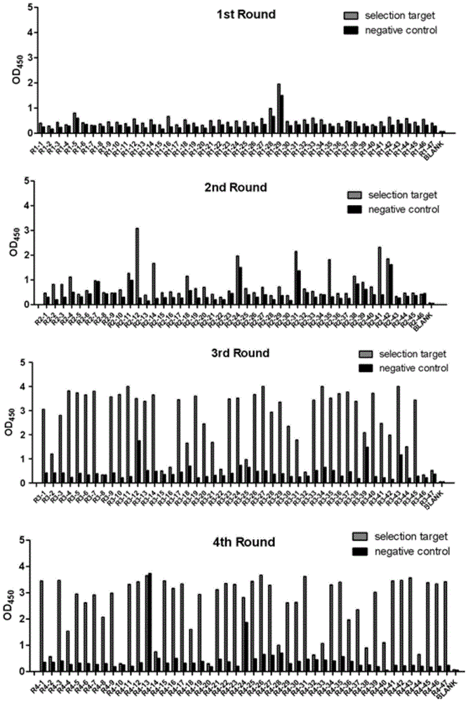 Antibody gene R4-85 resisting kinds of sub-gene type HCV and application thereof