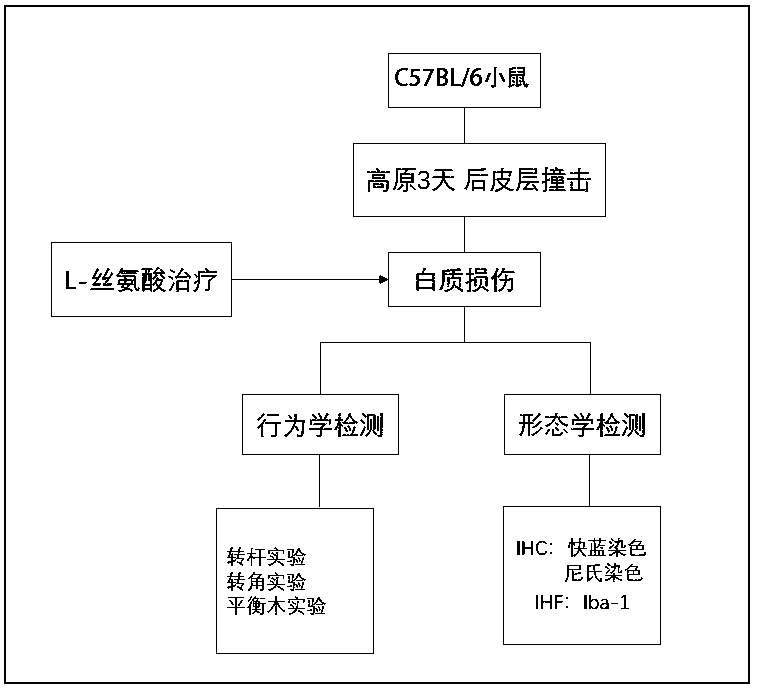 Application of L-serine to prevention or treatment of high-altitude craniocerebral injury