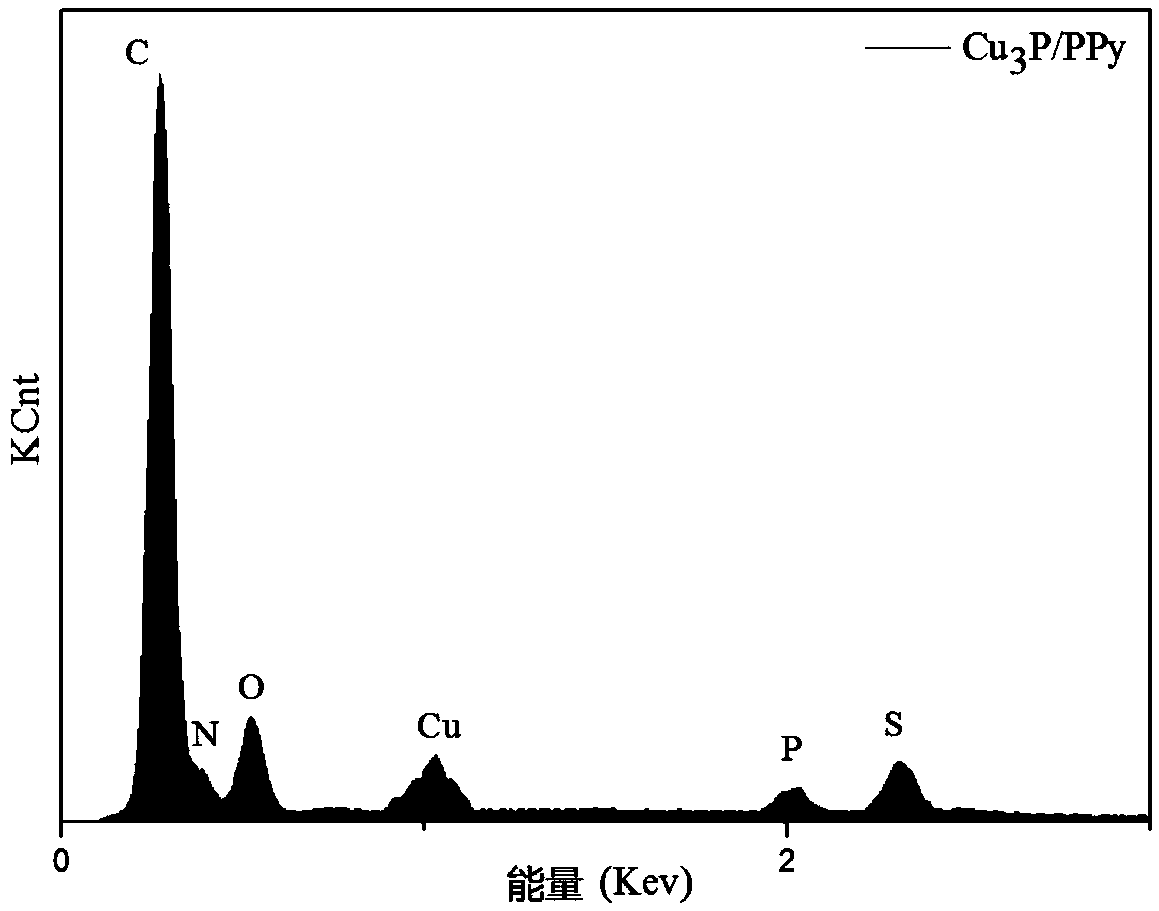 Polypyrrole/copper phosphide composite material and preparation method thereof