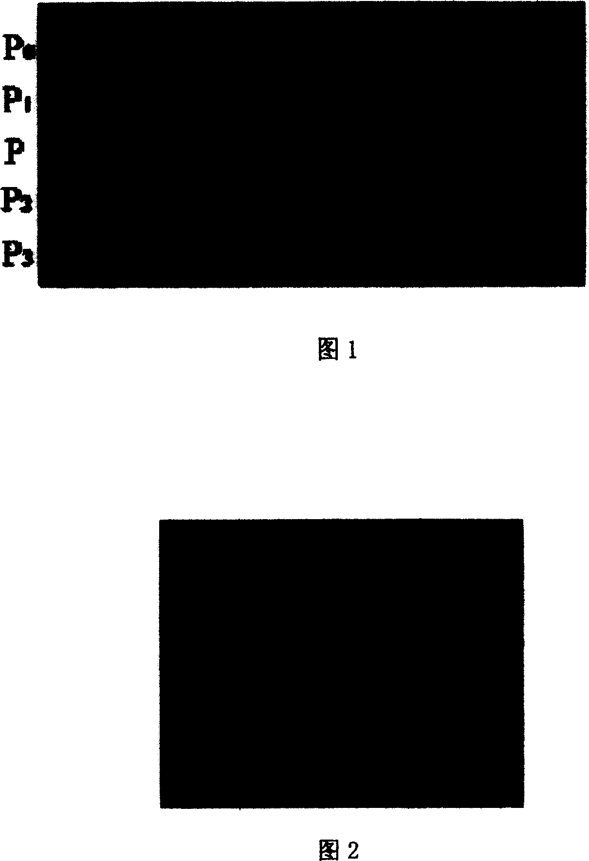Preparation method of DNA microarray chip based on gel fixed nucleic acid