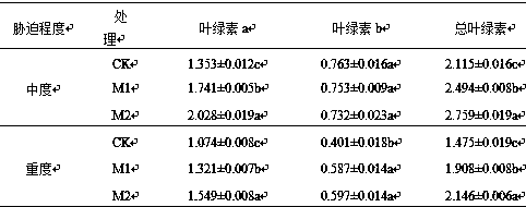 A method for improving the drought resistance of turfgrass by using drought-resistant intensified active nano-waste compost