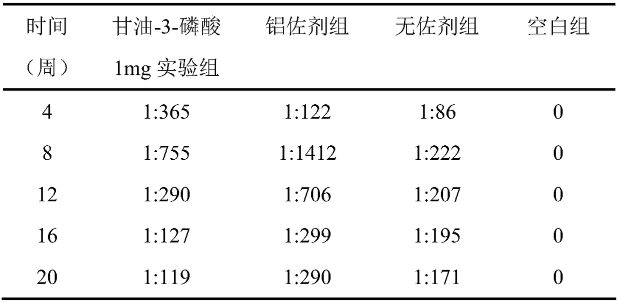 Application of glycerinum-3-phosphoric acid and adjuvant containing glycerinum-3-phosphoric acid and vaccine agent