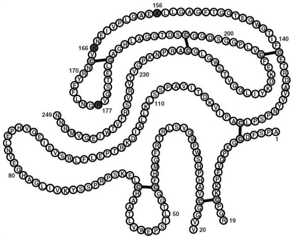 A method for preparing microplasmin without self-cutting form