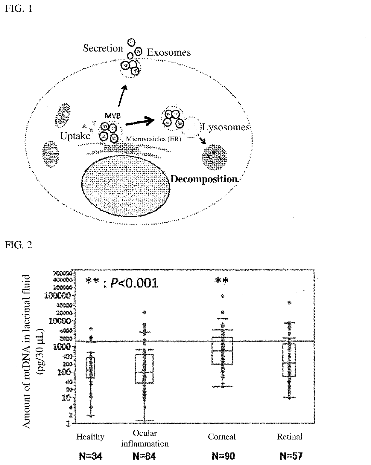 Eye disease biomarker