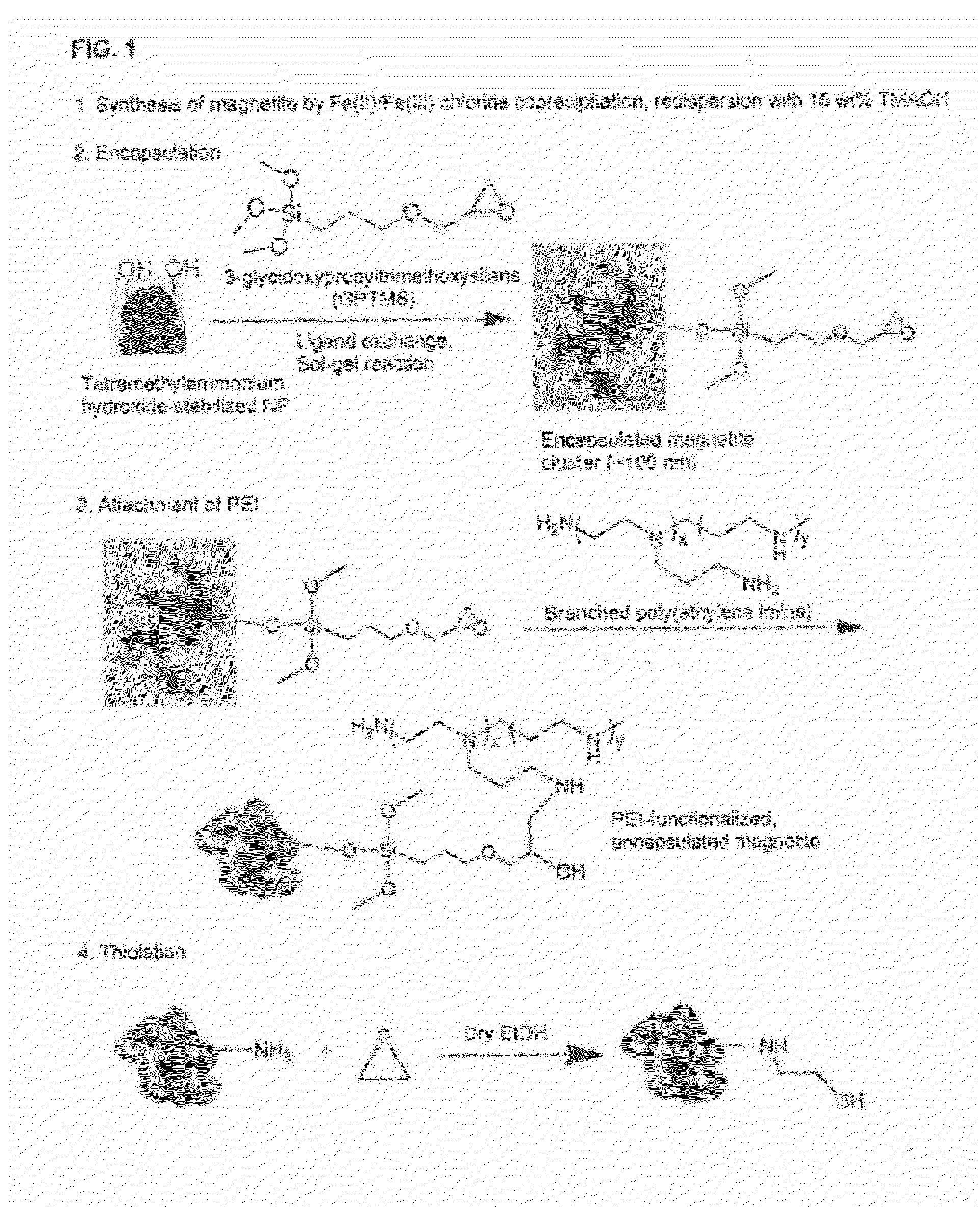 Core-Shell Magnetic Particles and Related Methods
