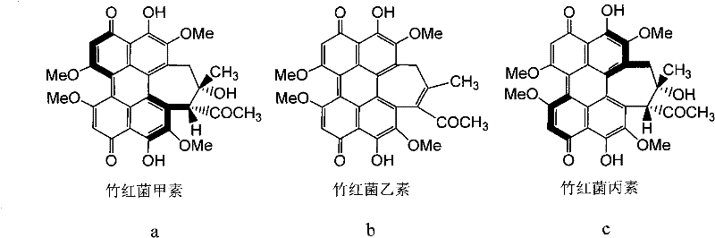 Hypocrella bambusae medicinal material and detection method of preparation thereof