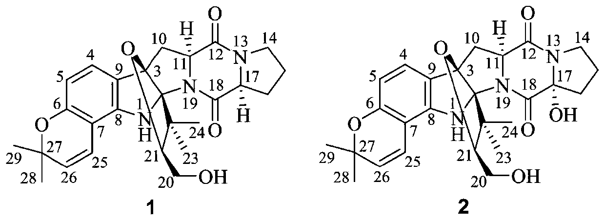 Indoledione piperazine type alkaloid and preparing method and application thereof