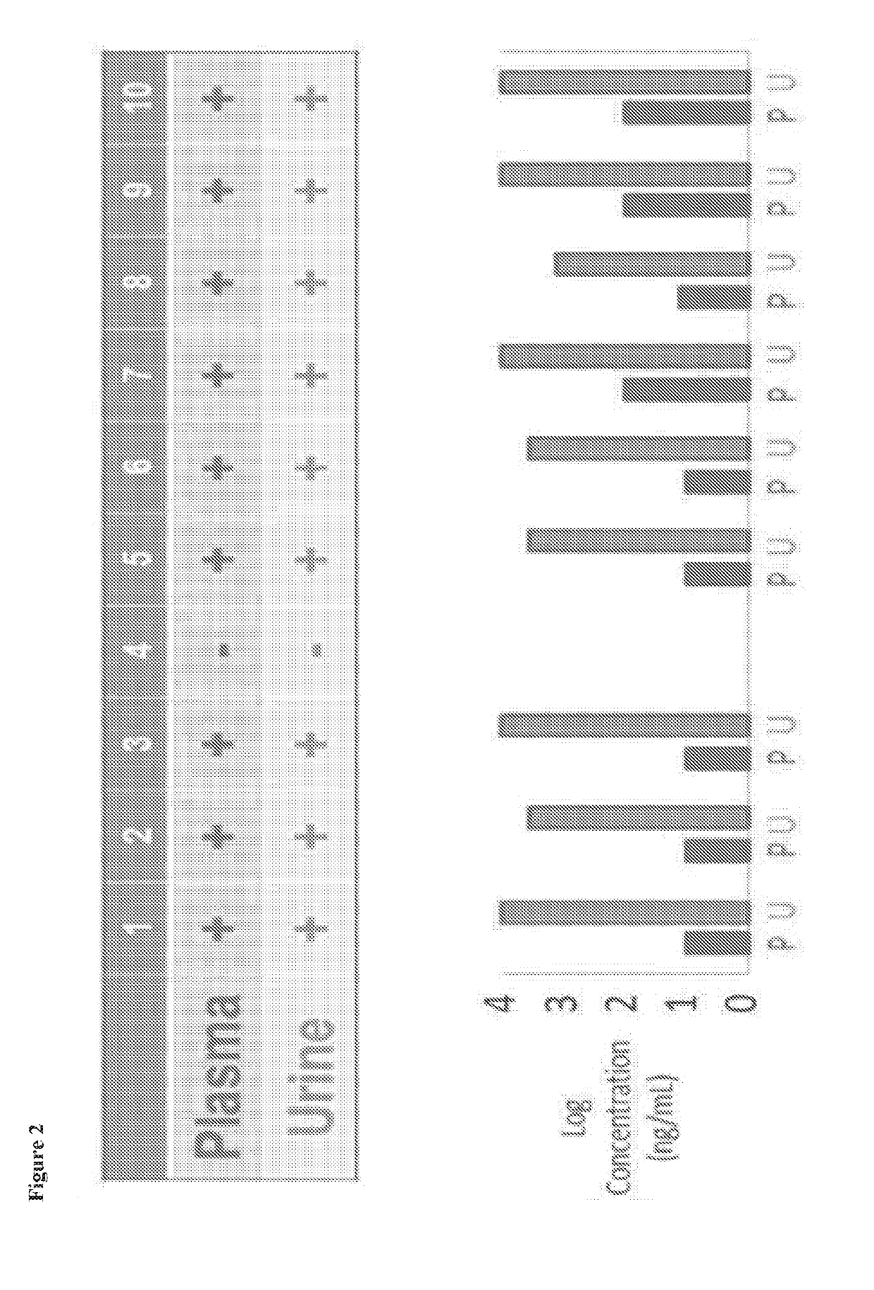 System and method for detecting therapeutic agents to monitor adherence to a treatment regimen