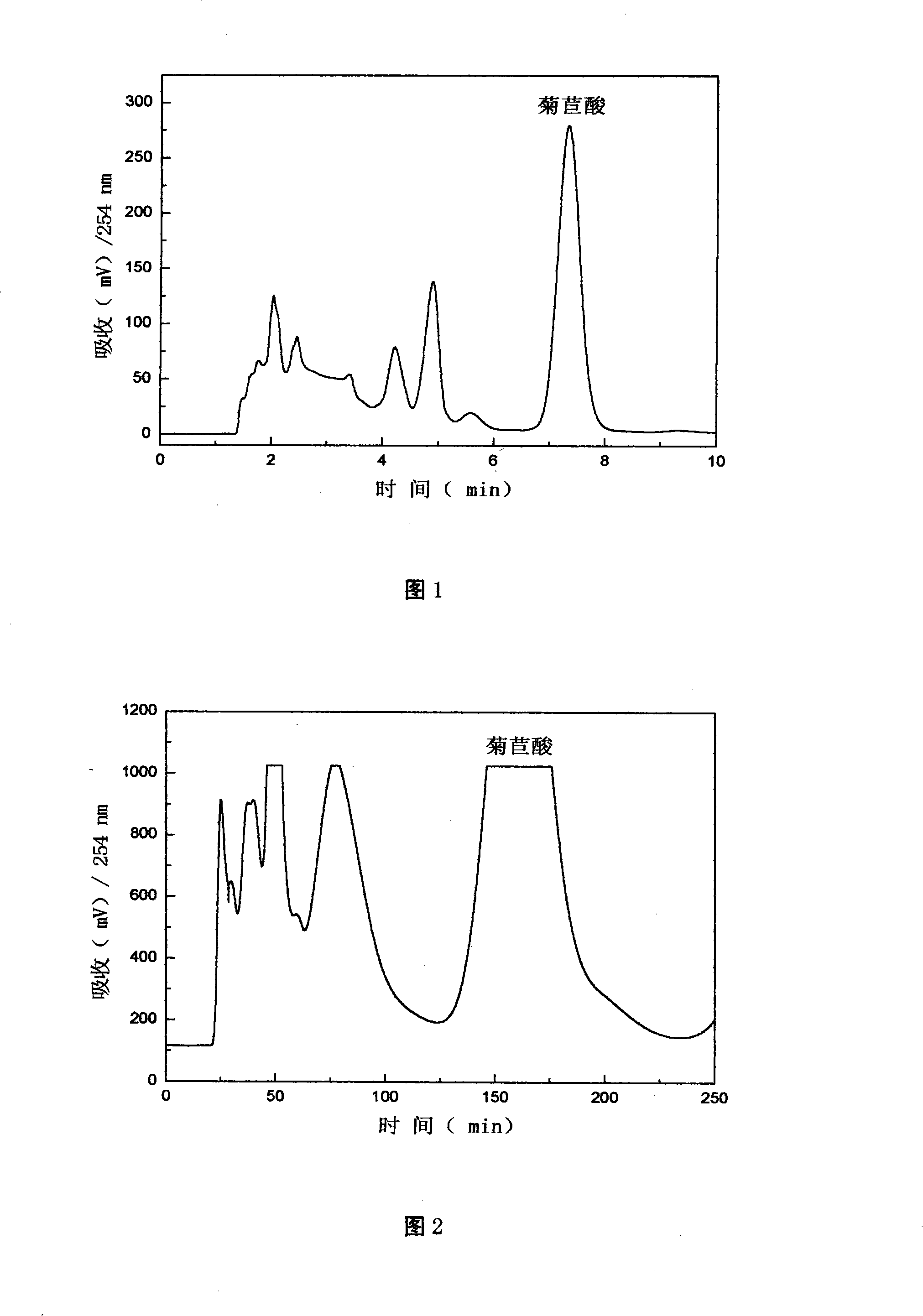 Method for extracting high pure chicoric acid from Coneflower