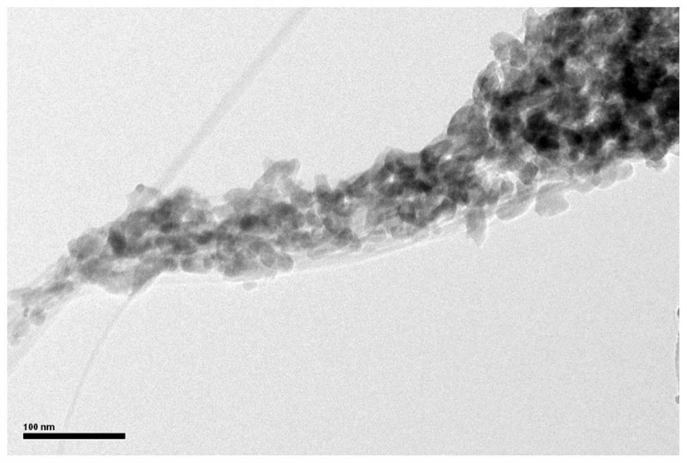 A preparation method of carbon nanotube film, functionalized carbon nanotube film and its application in electrocatalytic hydrogen production