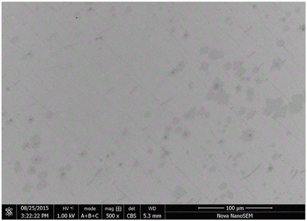 Large-scale production method for chemical vapor deposition (CVD) graphene film