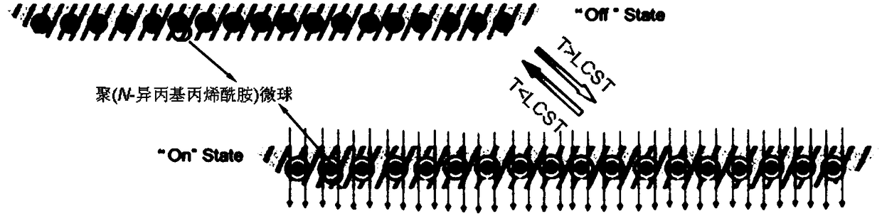 Temperature-controlled medication administration microbubble patch and preparation method