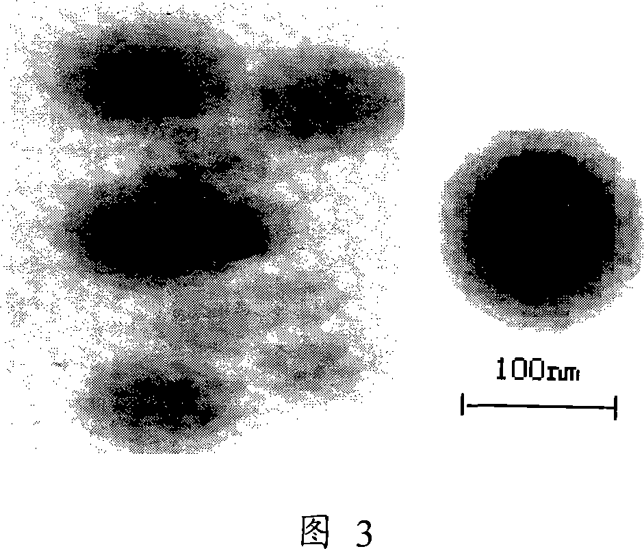 Method of producing water-solubility hypocrellin titanium dioxide nano granule
